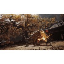Black Myth Wukong