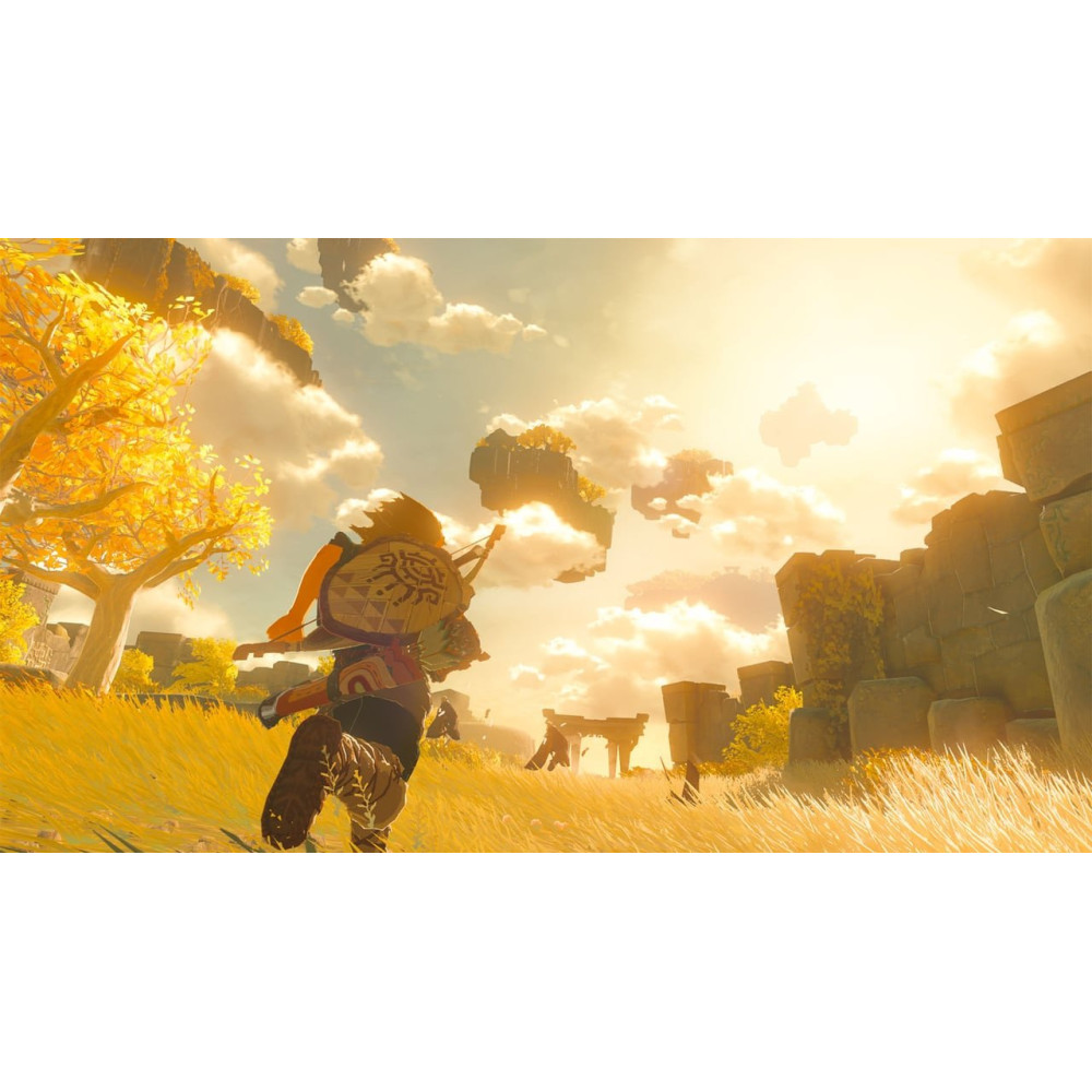 The Legend Of Zelda Tears Of The Kingdom Edition Collector Switch - NEUF Sous Blister